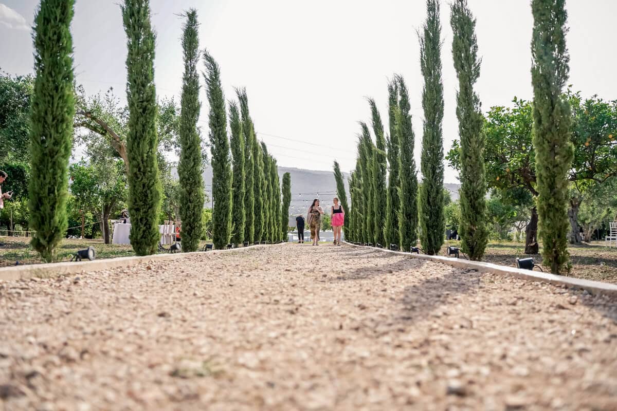 Hana and Johnny Crete Olive Grove Wedding The Bridal Consultant (6)